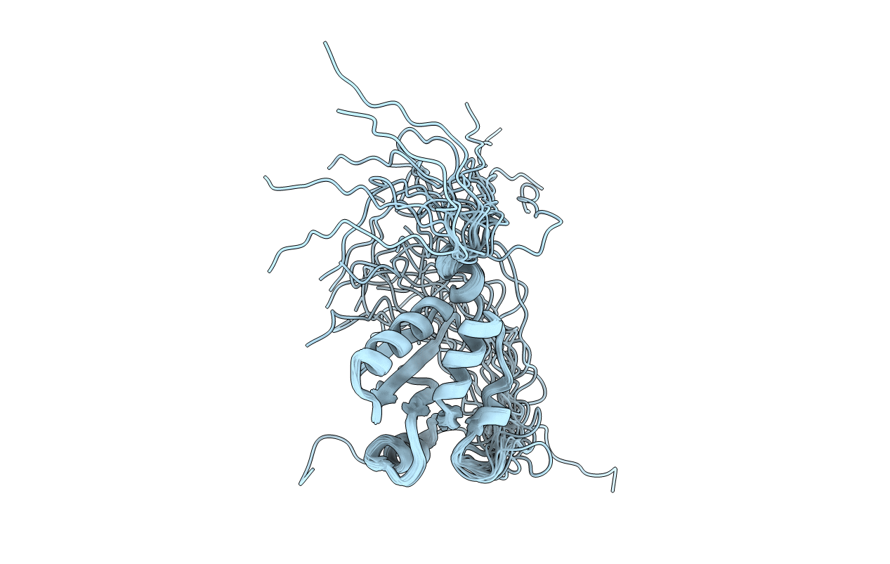 2D8M image