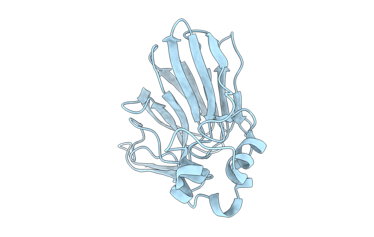 2D8P image