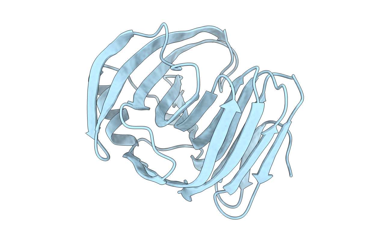 2D97 image