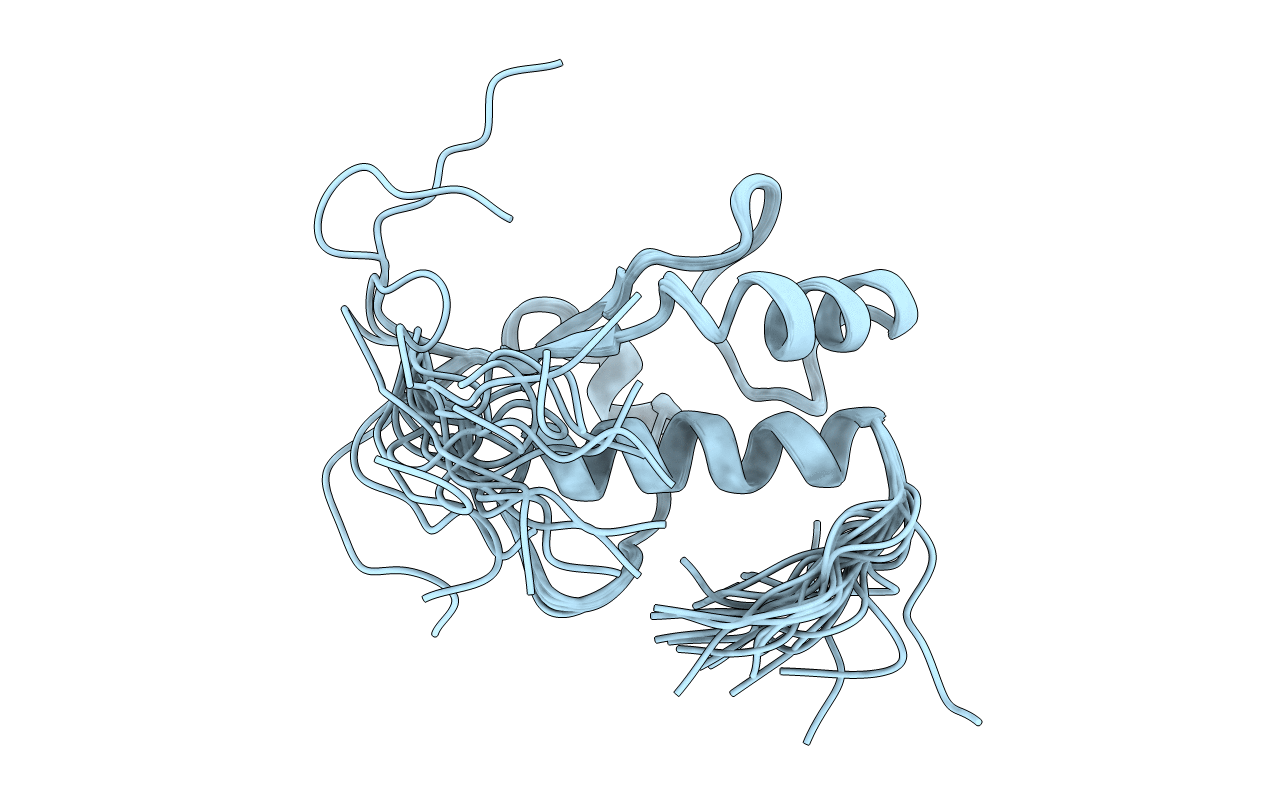 2D99 image
