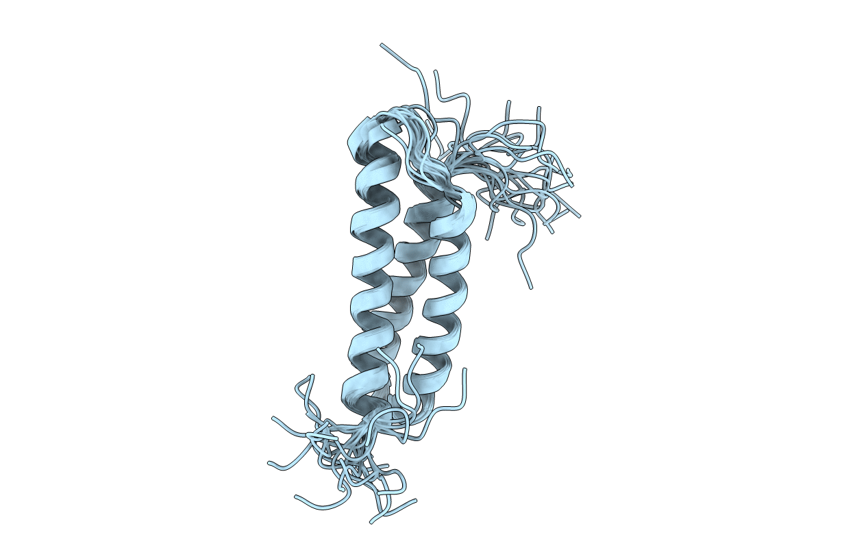 2D9D image