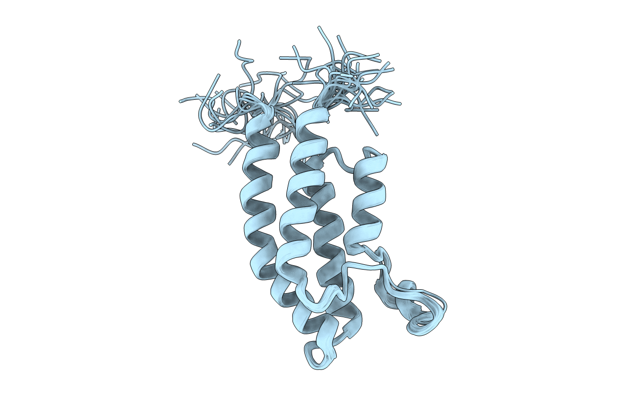 2D9E image