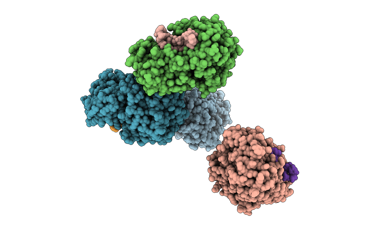 2db3 image