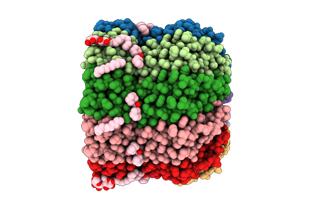 2DB4 image