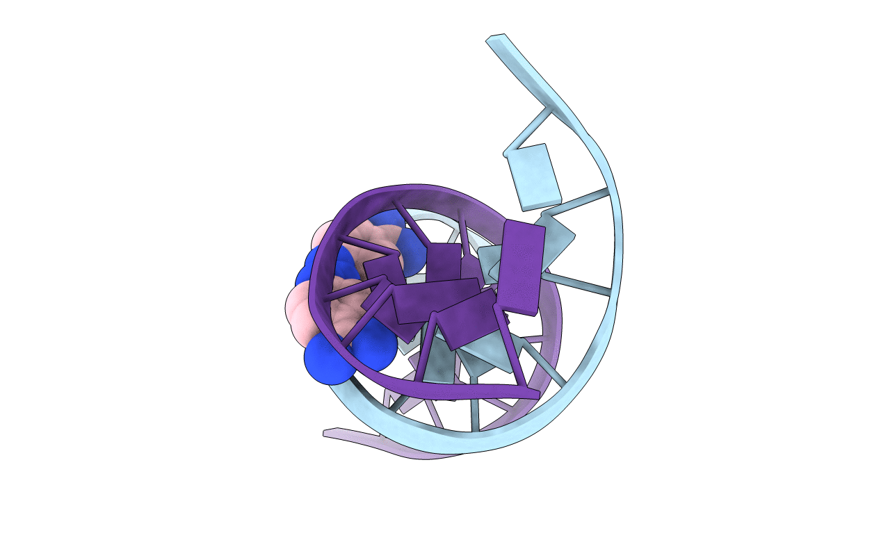 2DBE image