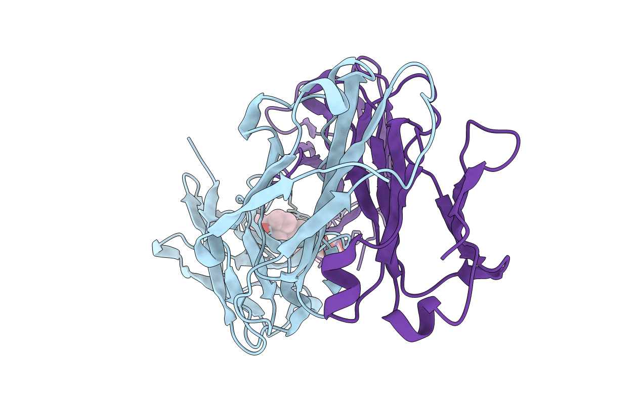 2DBL image