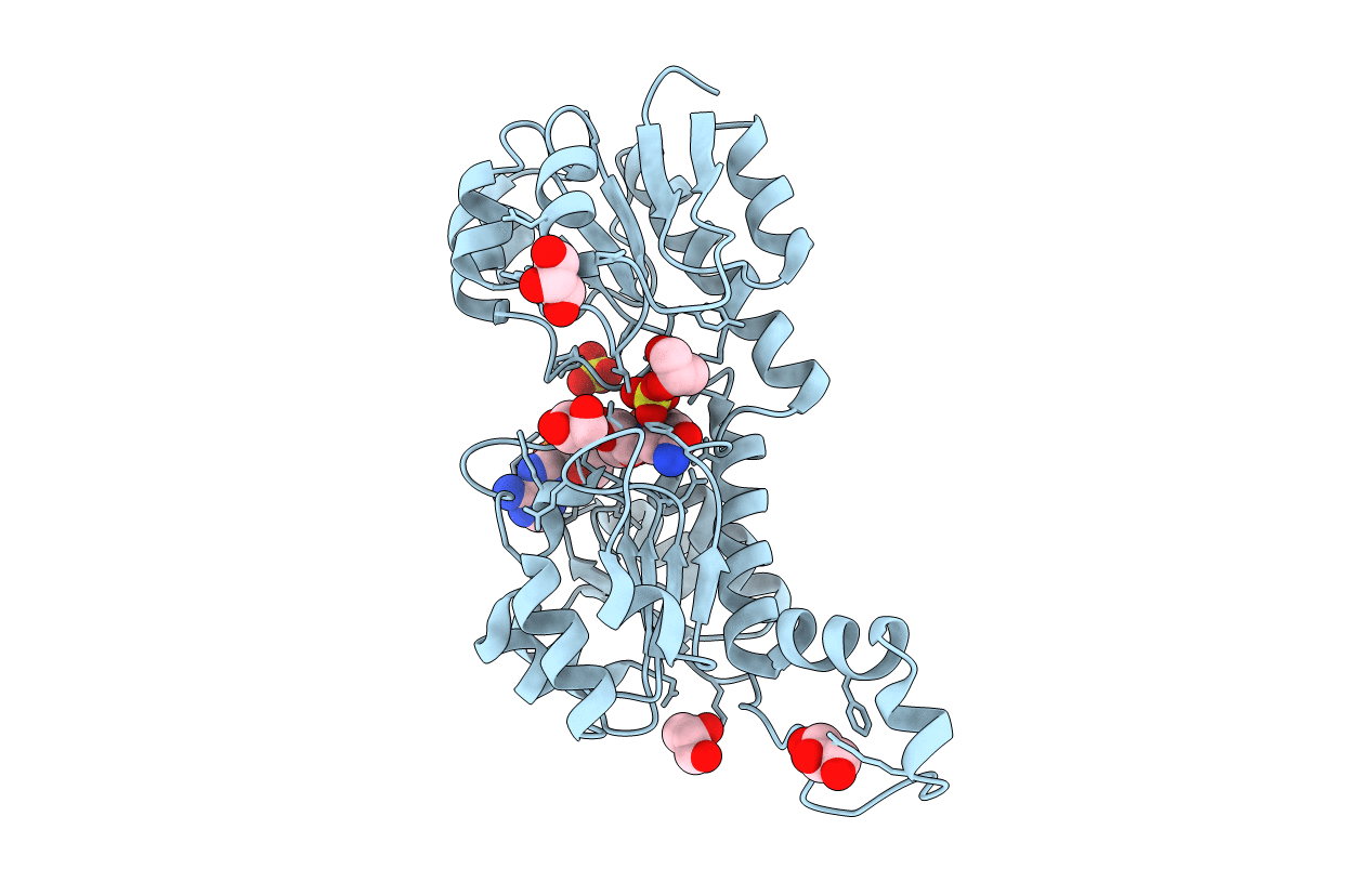 2DBQ image