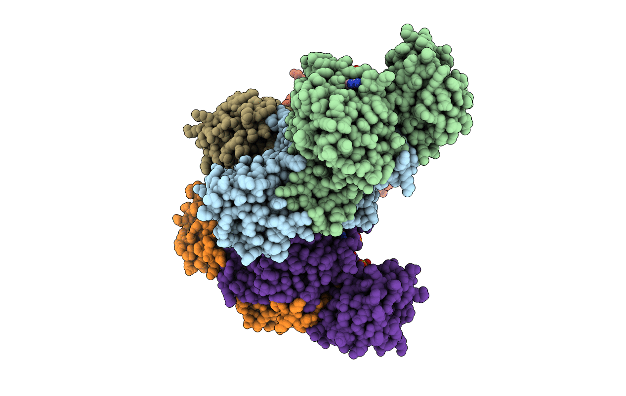 2DBR image