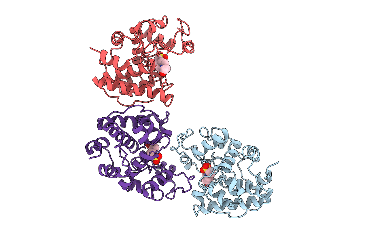 2DBT image
