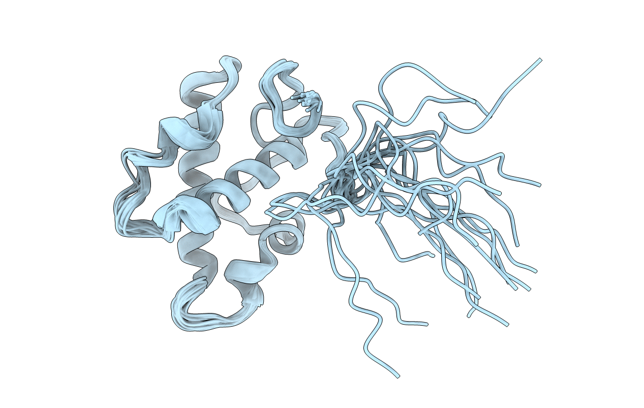 2DCE image