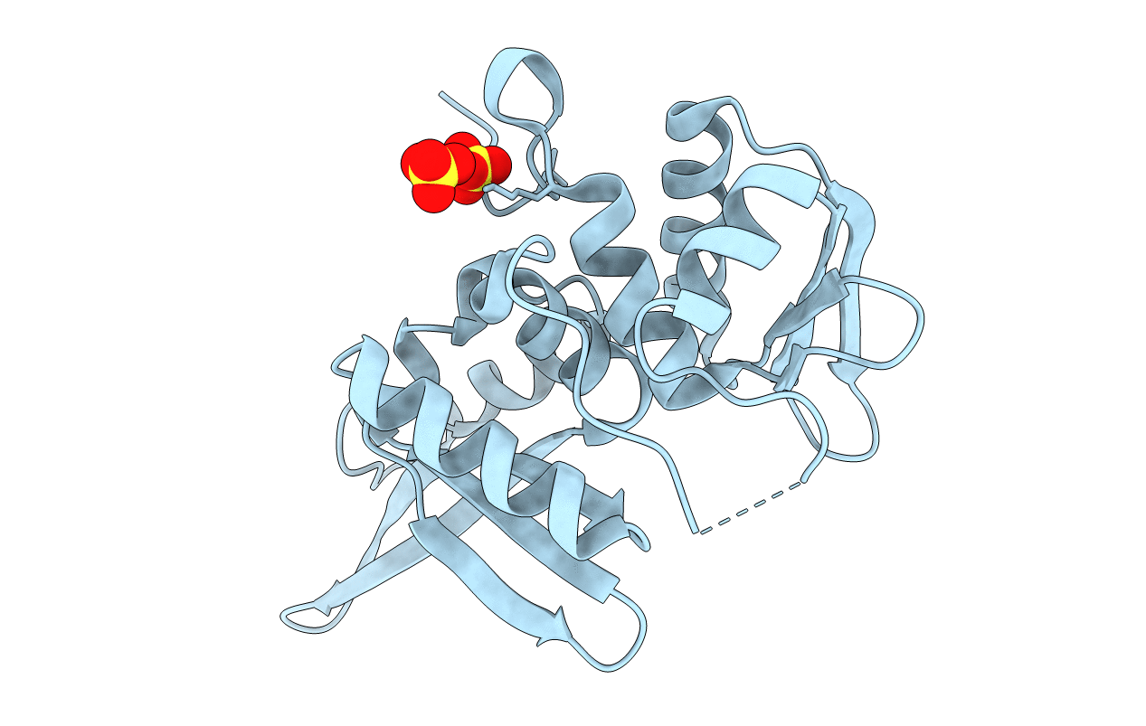 2DCH image