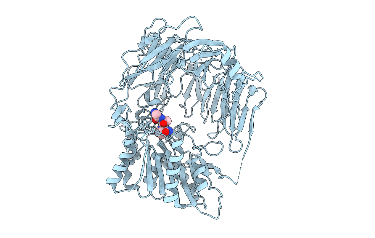 2DCM image