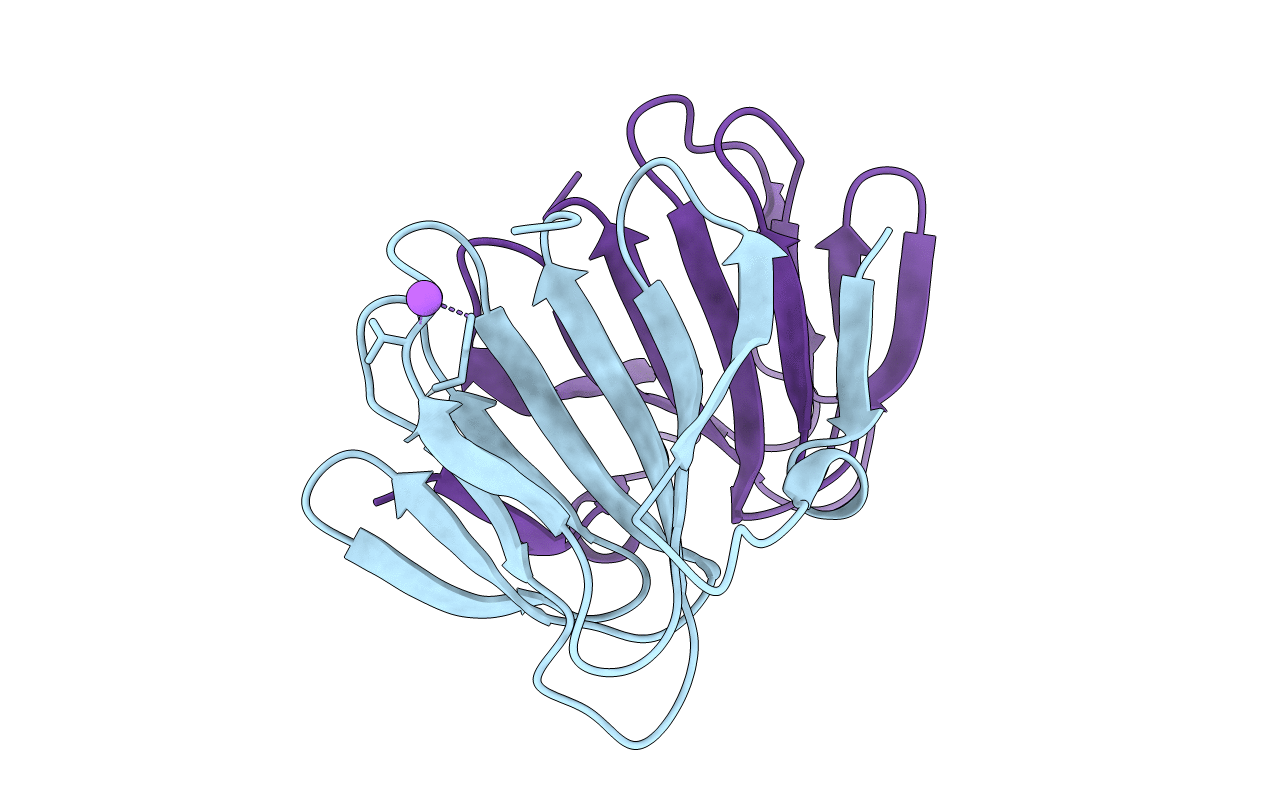 2DCT image