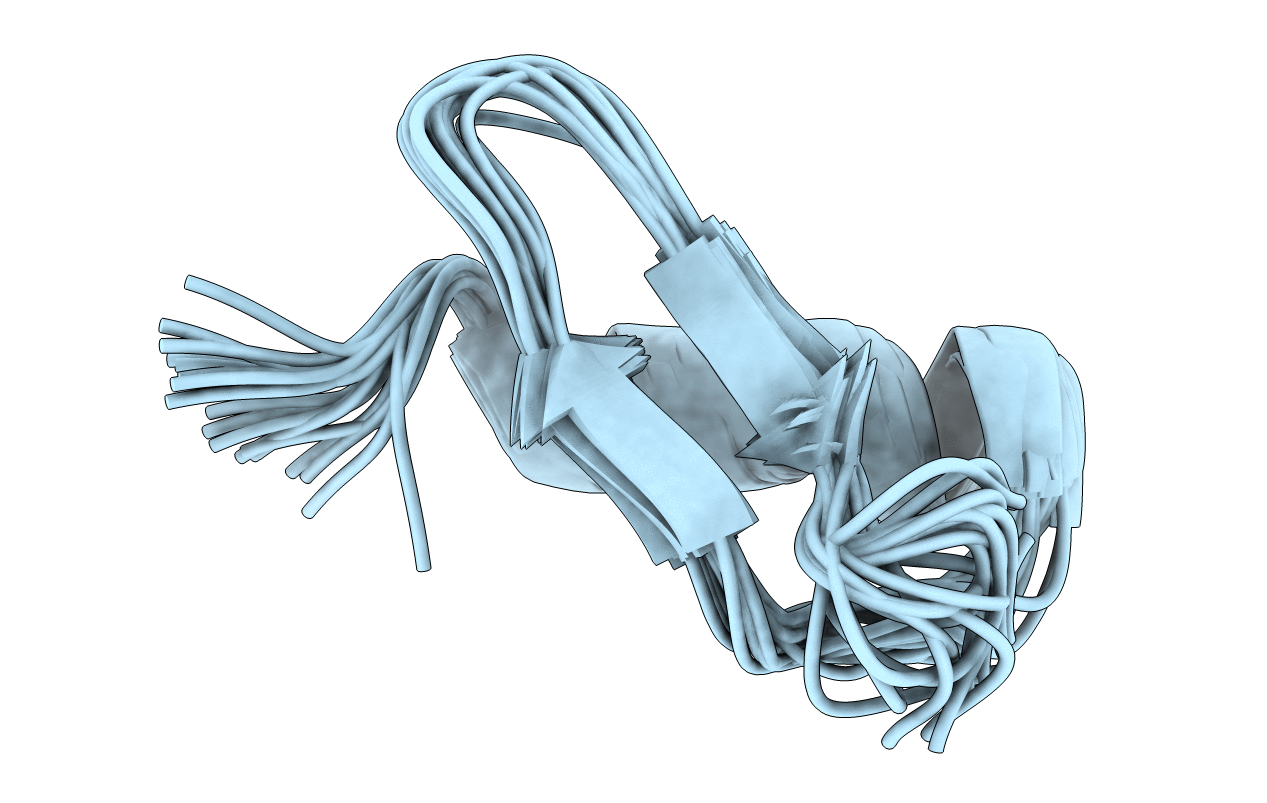 2DDL image