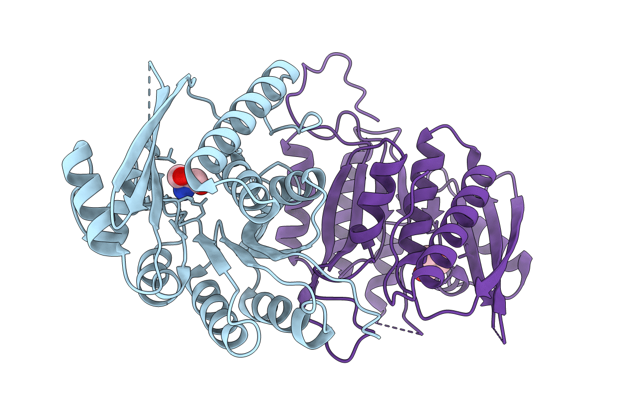 2DDM image