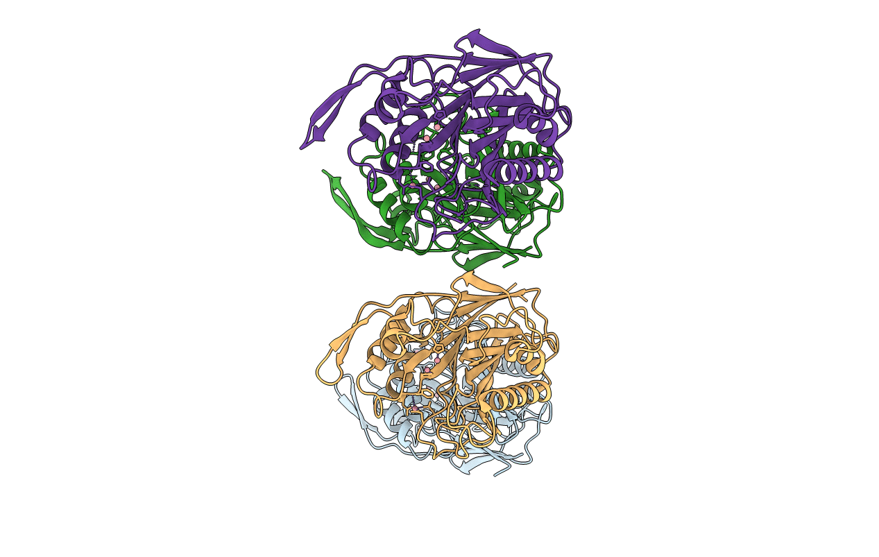2DDS image