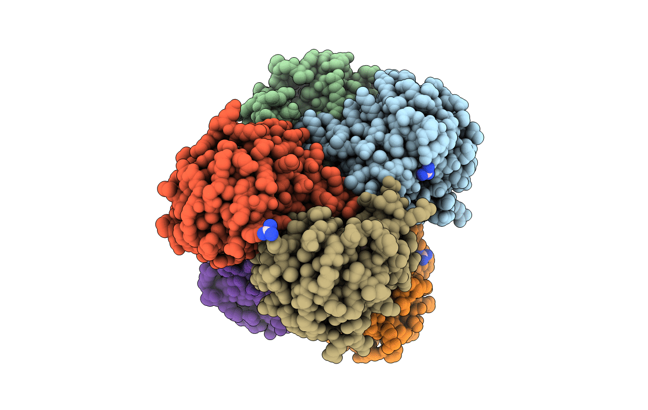 2DDZ image