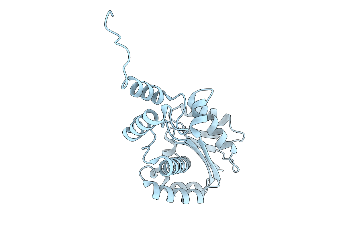 2DFH image