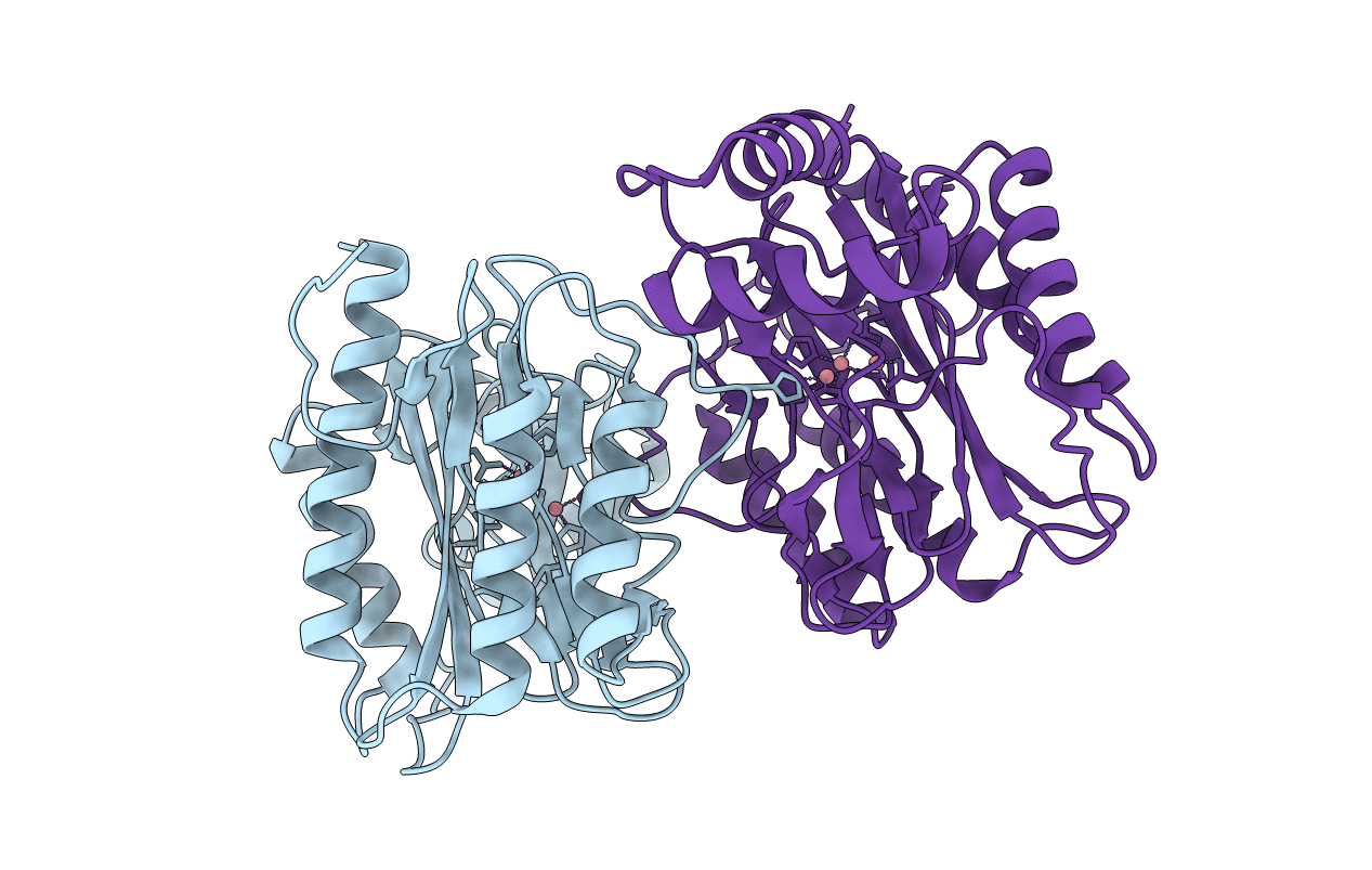 2DFI image