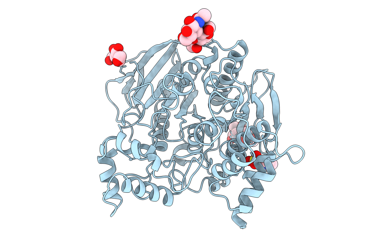 2DFP image