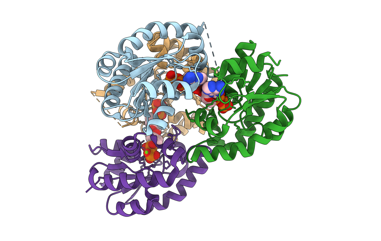 2DFT image