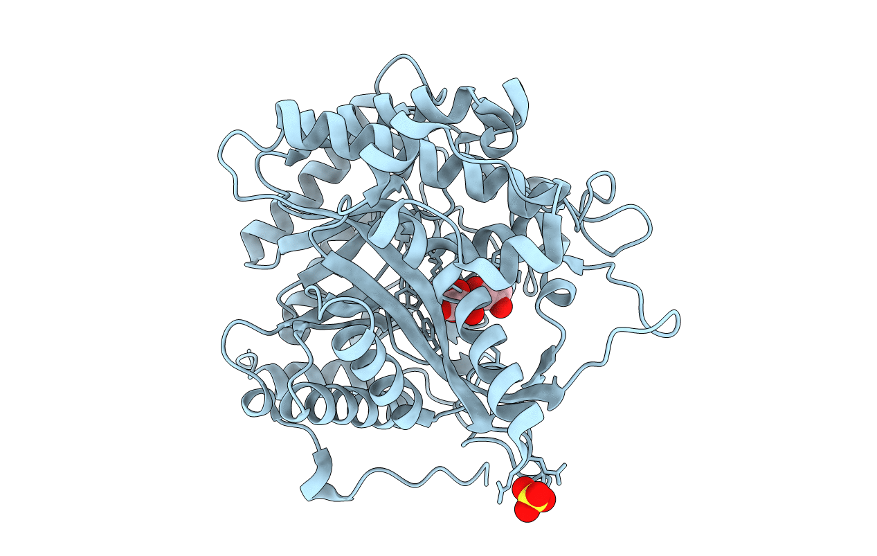 2DGA image