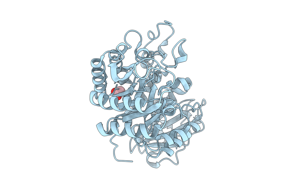 2DH2 image