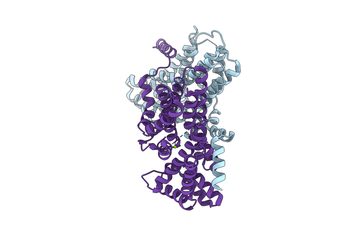 2DH4 image