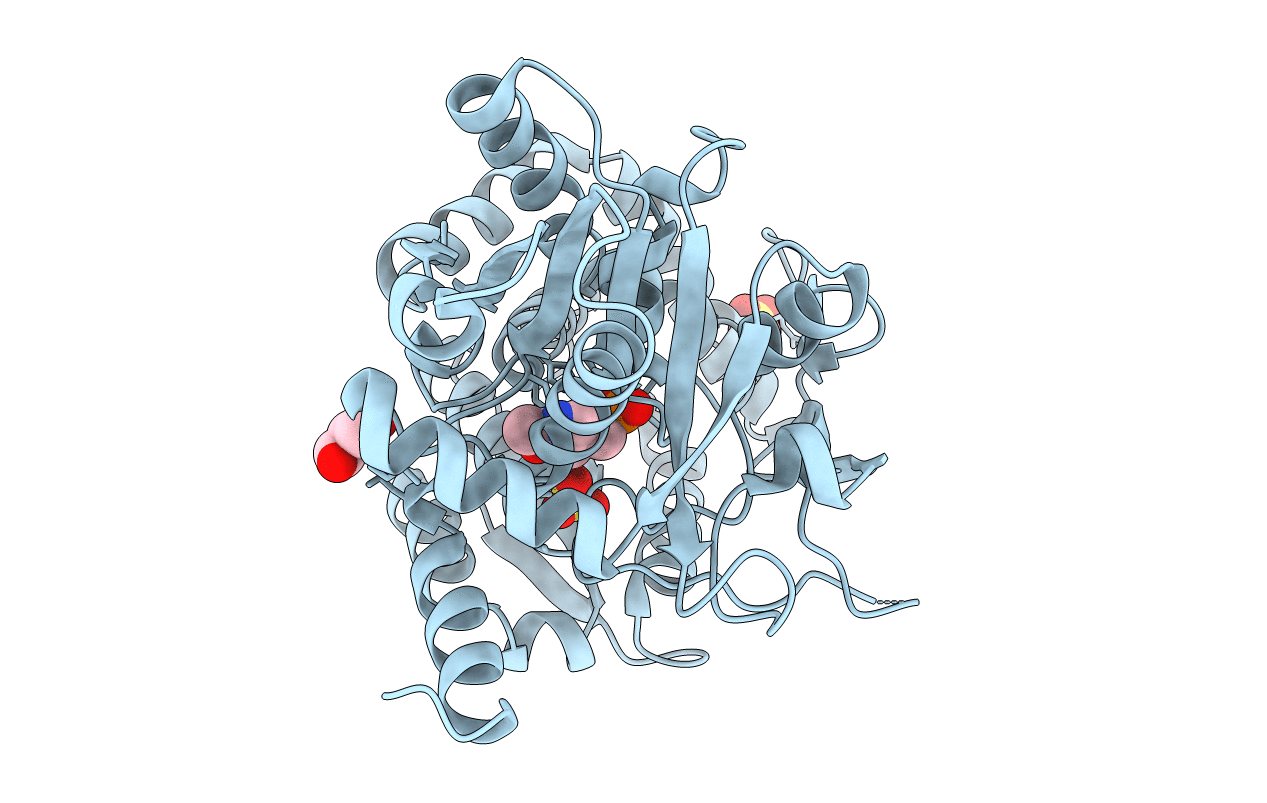 2DH5 image