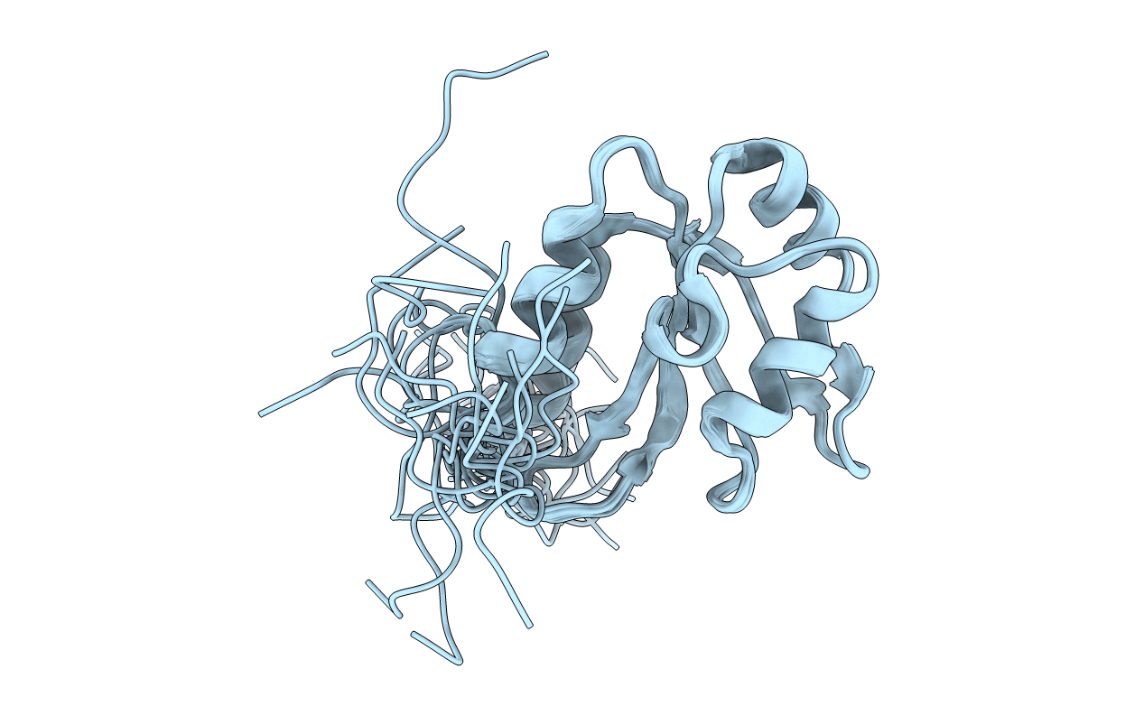 2DHA image