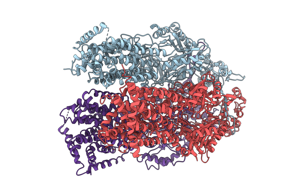 2DHH image