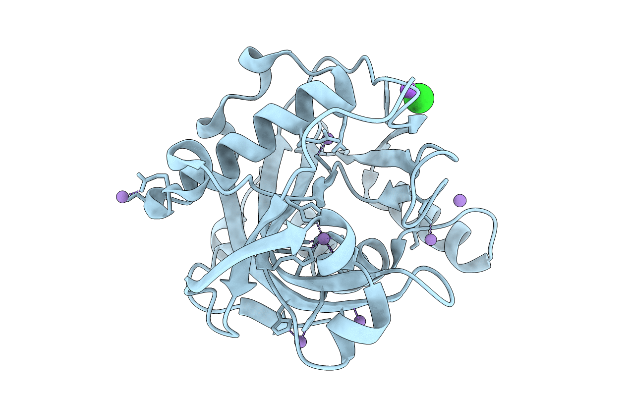 2DHO image