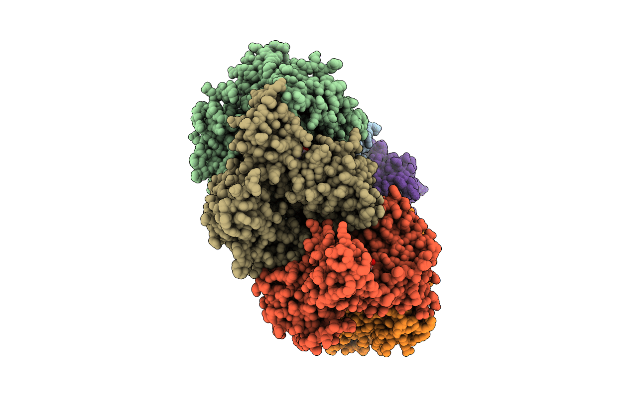 2DHR image