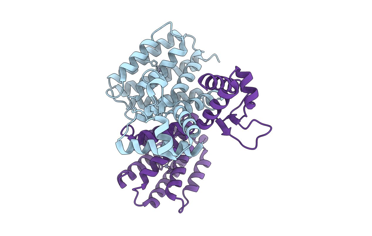 2DI3 image