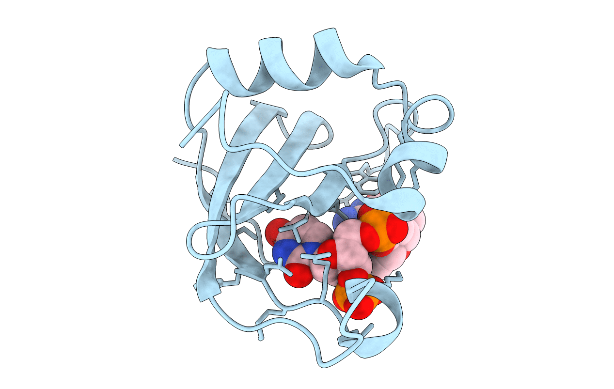 2DJH image