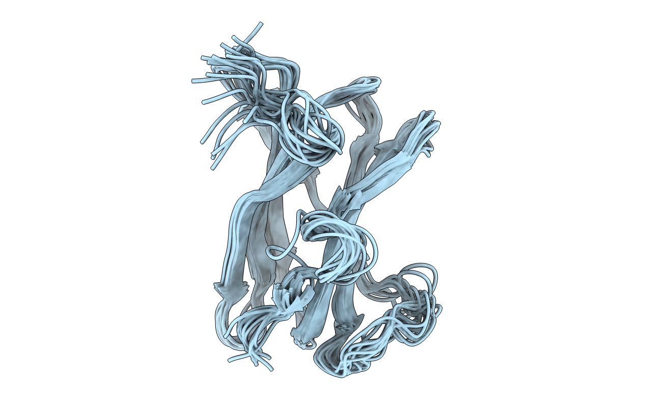 2DJM image