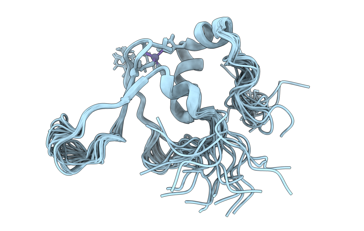 2DJR image