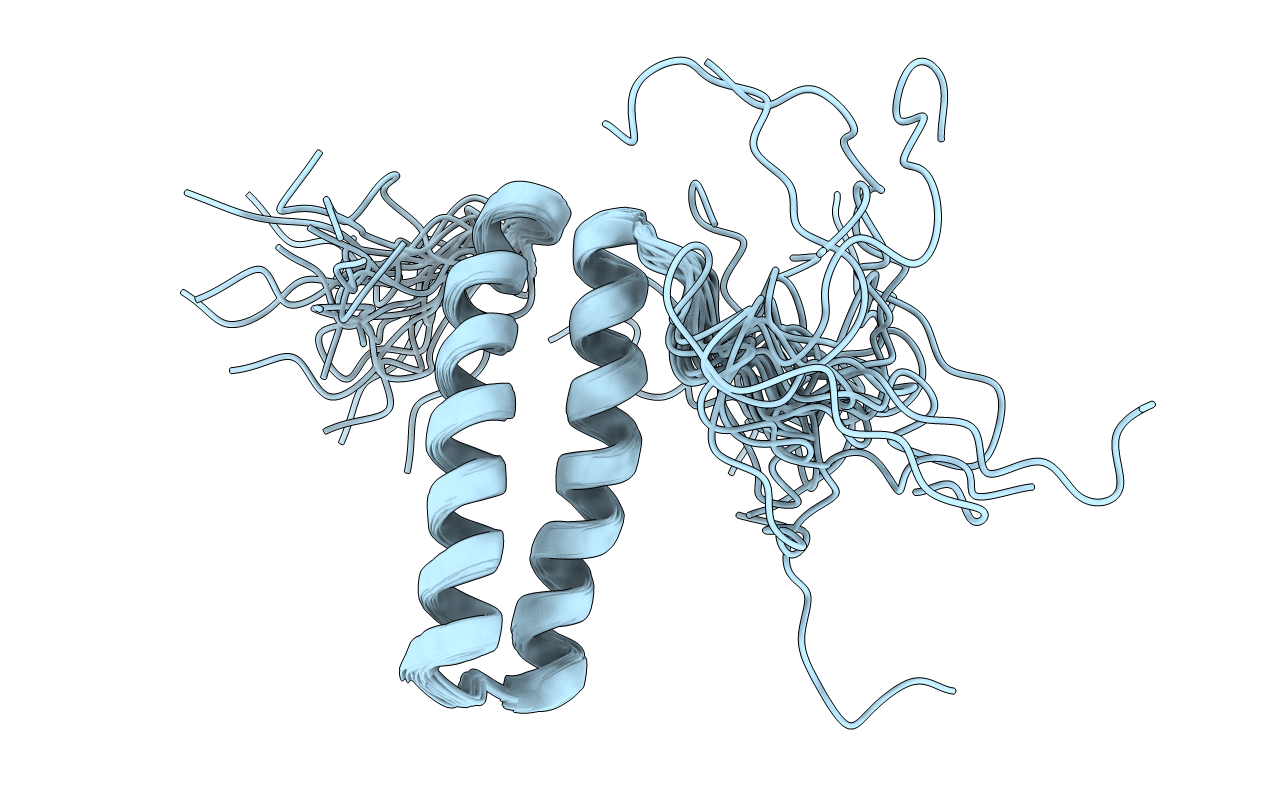 2DJV image