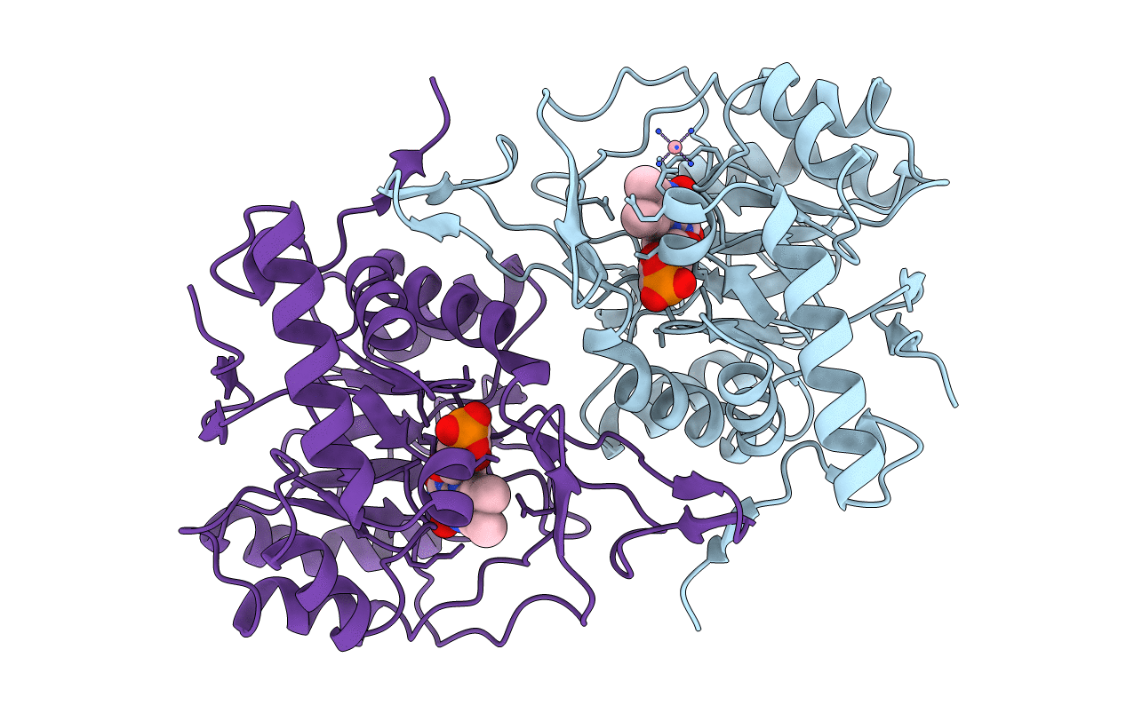 2DJX image