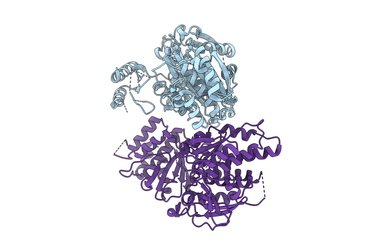 2DKA image