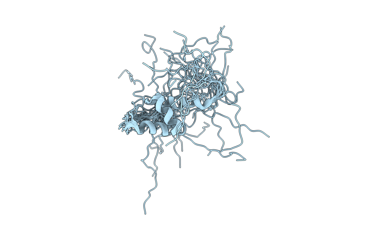 2DKL image
