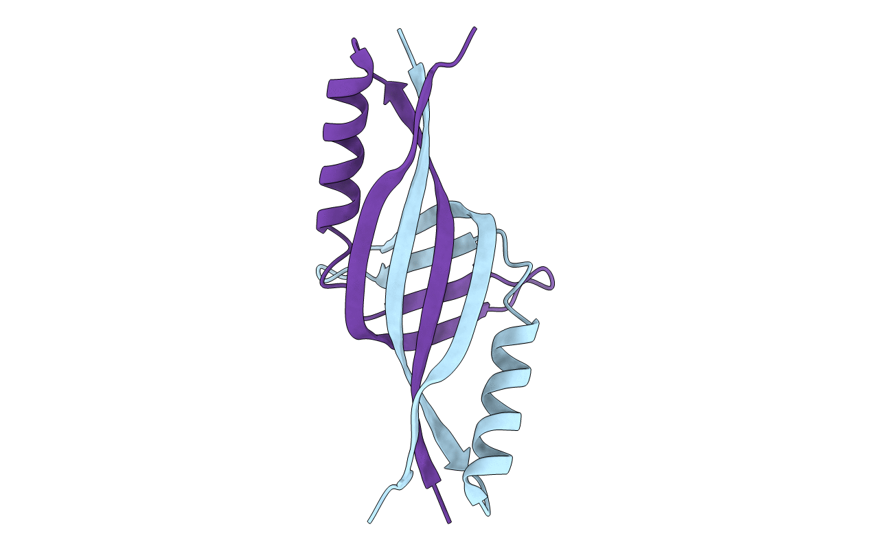 2DLB image