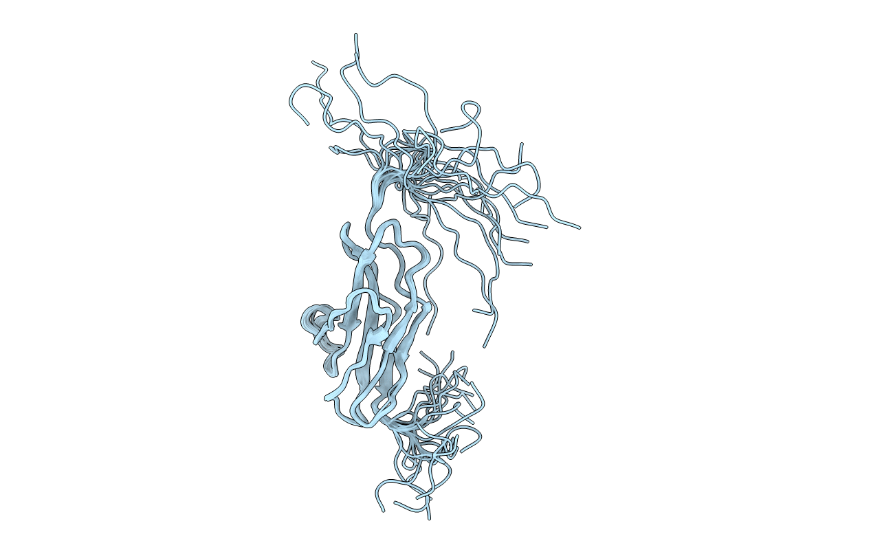 2DLH image