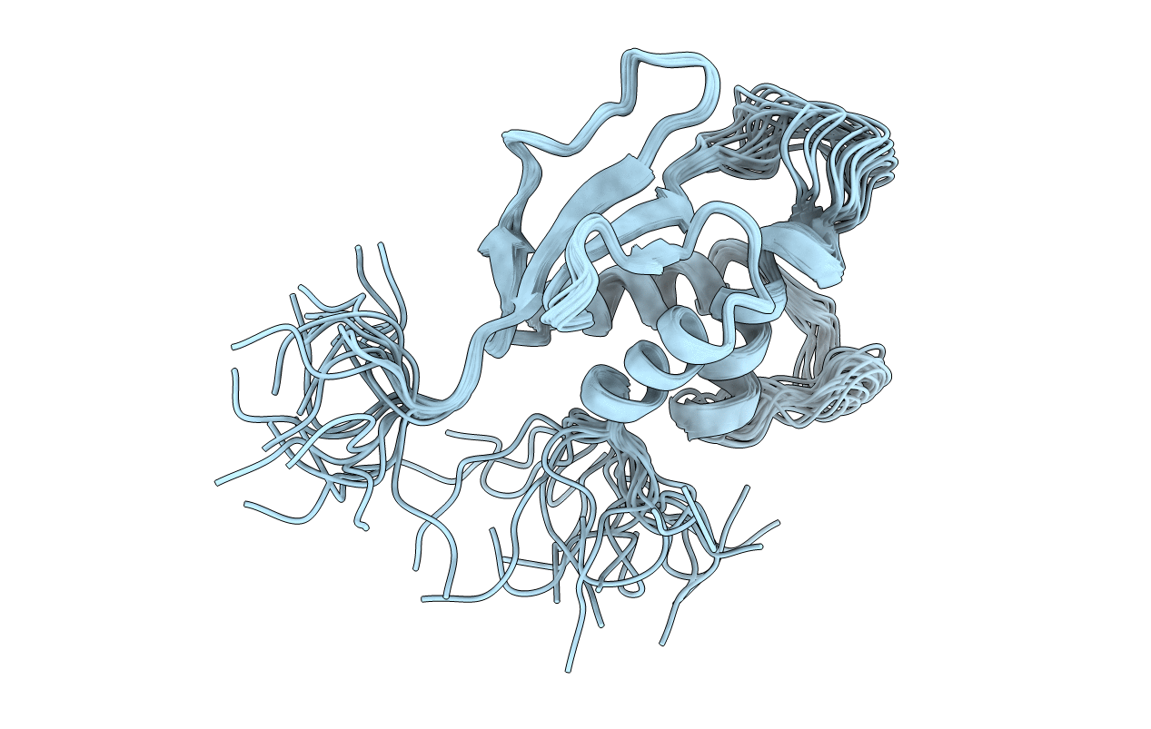 2DLL image