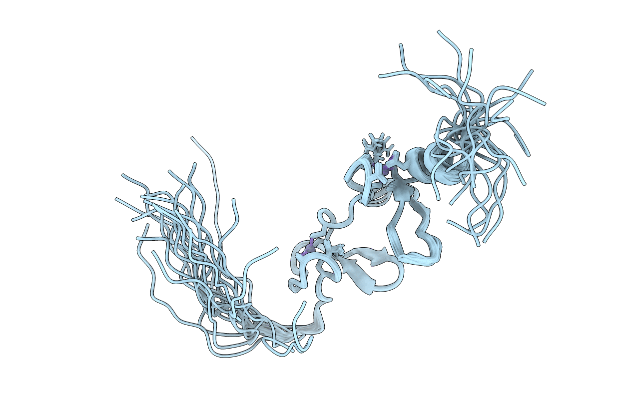 2DLO image