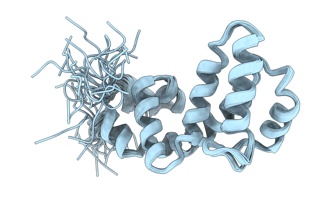 2DLV image
