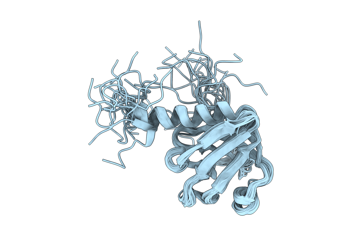 2DLW image