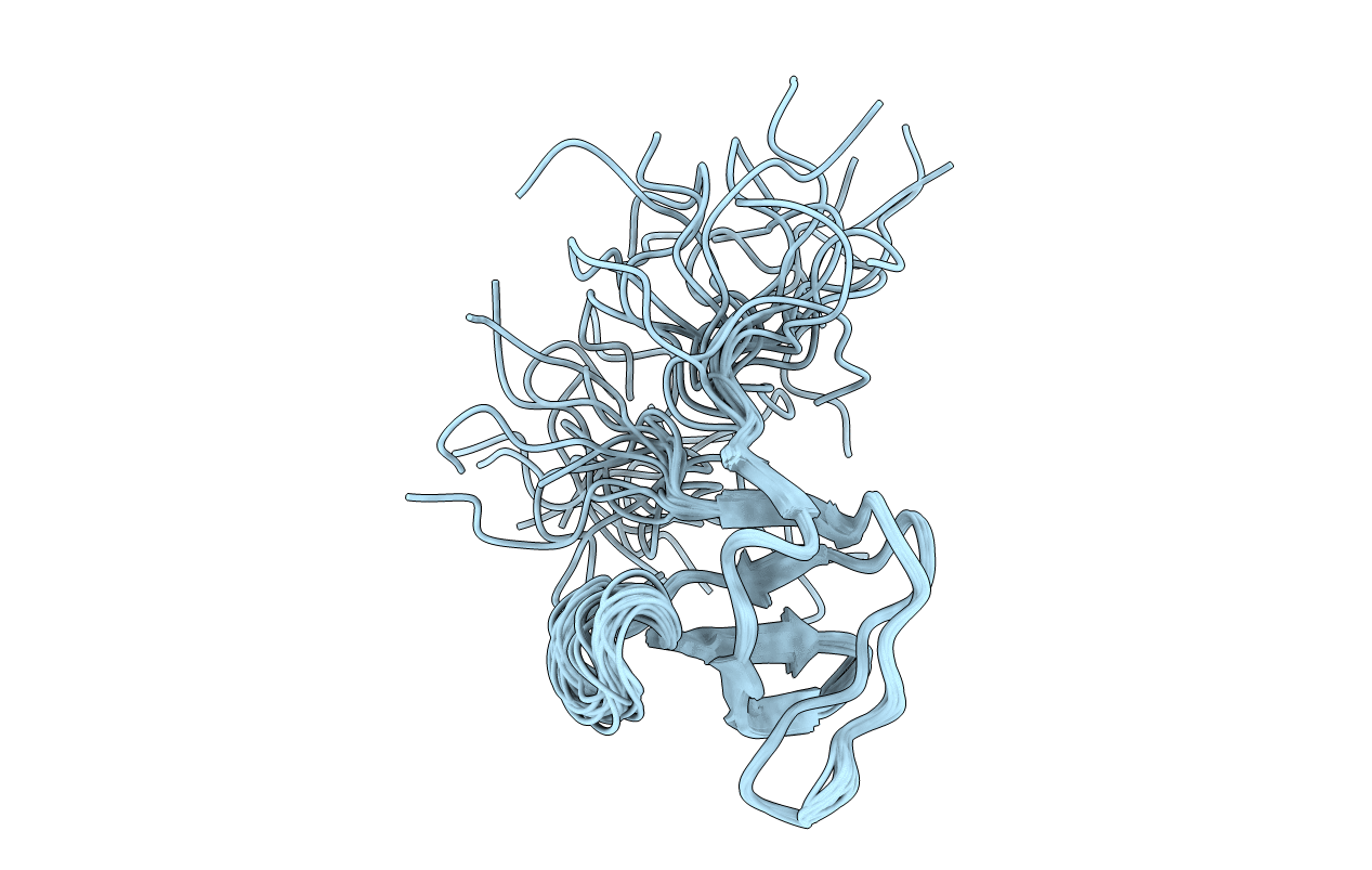 2DM1 image
