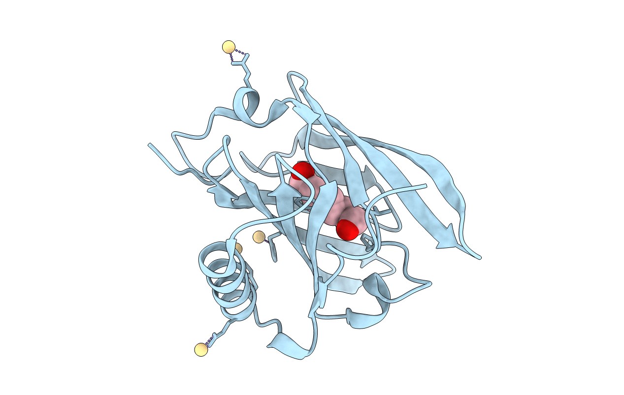2DM5 image