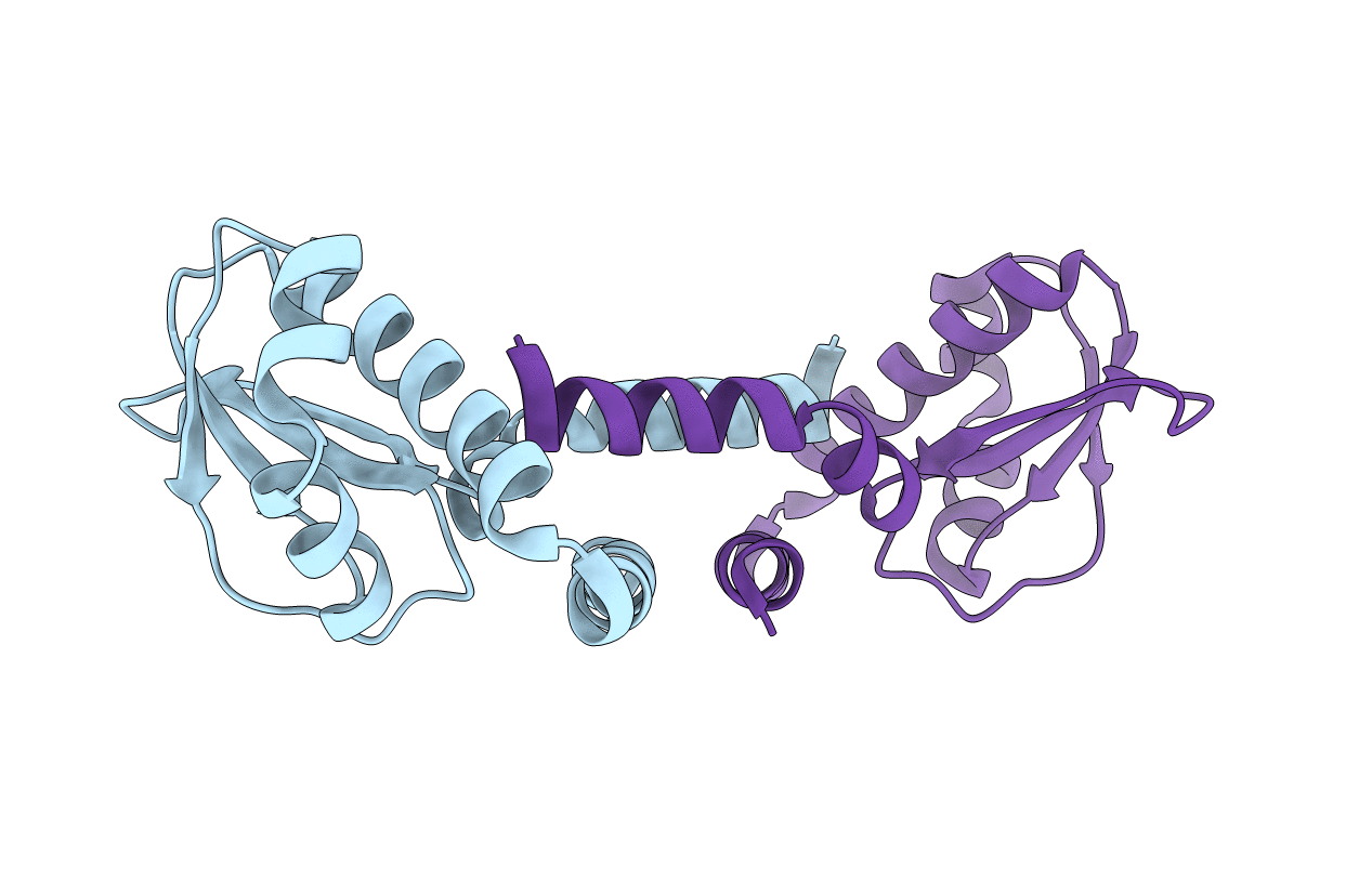 2DM9 image